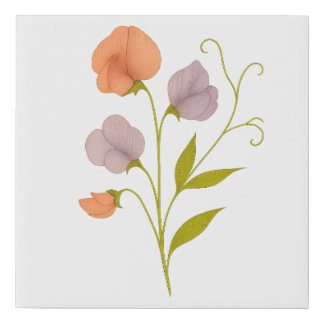Sweet pea — Blissful pleasure, gratitude Faux Canvas Print