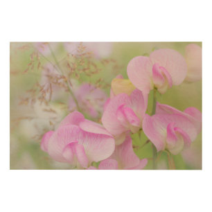 Sweet Pea Blossoms Seabeck, WA Wood Wall Decor