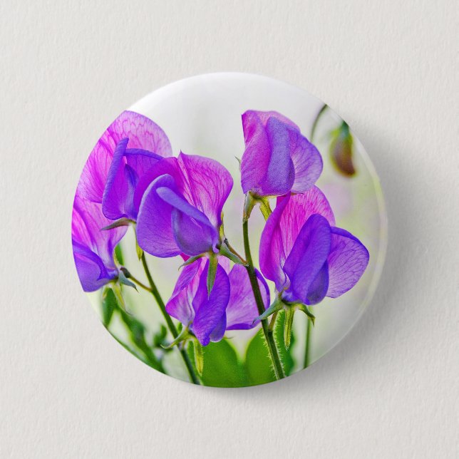 Sweet Pea Button (Front)