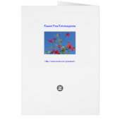 Sweet Pea Extravaganza Card (Back)