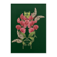 Sweet Pea Flowers And Butterflies