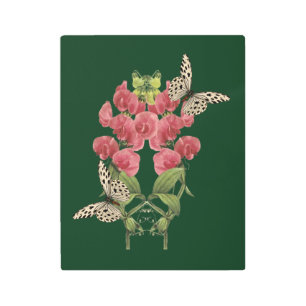 Sweet Pea Flowers And Butterflies Metal Print