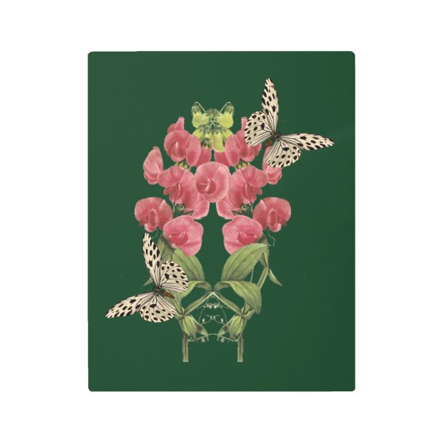 Sweet Pea Flowers And Butterflies  Metal Print (Front)