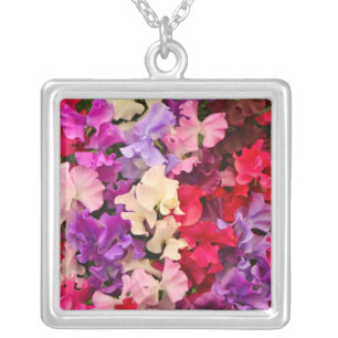 Sweet pea flowers in bloom silver plated necklace