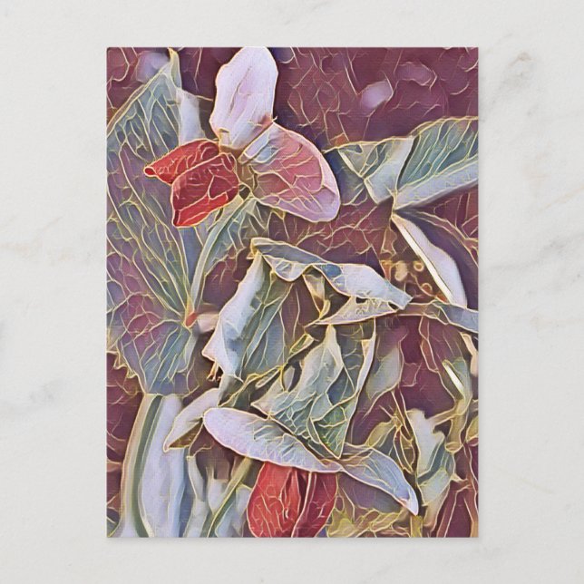 SWEET PEA FLOWERS    POSTCARD (Front)