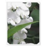 Sweet Pea Flowers Temporary Tattoos