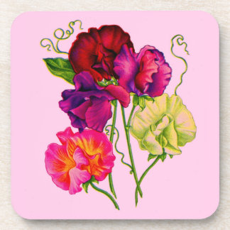 sweet pea in purple and pink beverage coaster