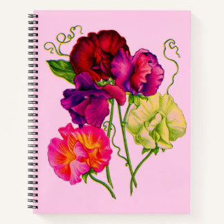 sweet pea in purple and pink notebook
