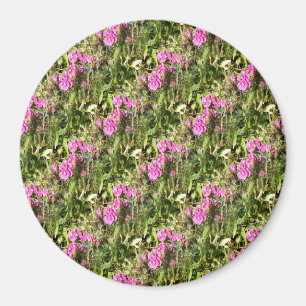 Sweet Pea Lace..... Magnet