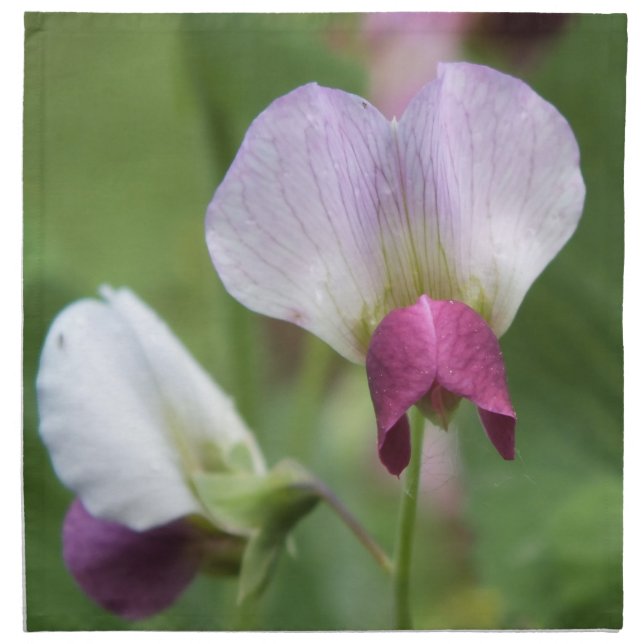 Sweet Pea napkin (Front)