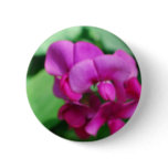 Sweet Pea Pin