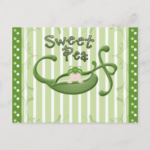Sweet Pea Postcard