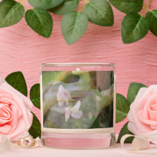 Sweet Pea Scented (Vanilla Scent) Jar Candle