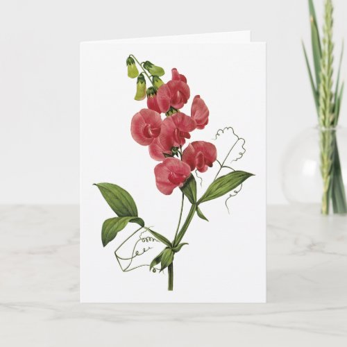 Sweet Pea Watercolor Congratulations Card