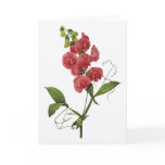 Sweet Pea Watercolor Sympathy Card Sweet Pea Watercolor Sympathy Card
