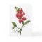Sweet Pea Watercolor Sympathy Card