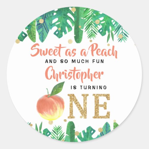 Sweet Peach Boys 1st Birthday Classic Round Sticker
