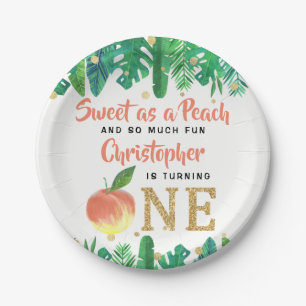 Sweet Peach Boys 1st Birthday Paper Plates