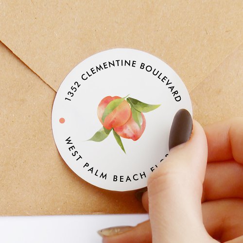 Sweet Peach Theme Return Address Classic Round Sticker