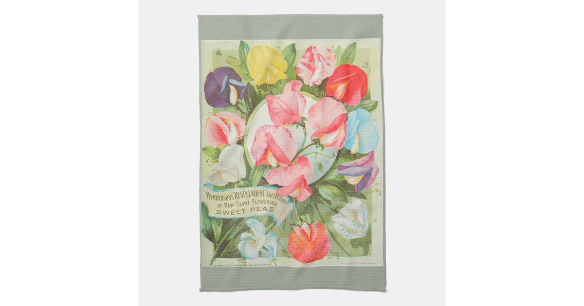 Vintage Stationery ~*~ Current ~*~ Fold A Note ~*~ Sweet Peas /& Nasturtiums ~*~ In The Garden