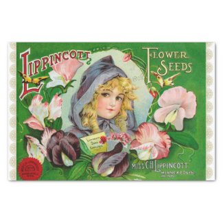Sweet Peas 1908 Flower Seed Catalog