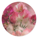 Sweet Peas Art Magnet Classic Round Sticker