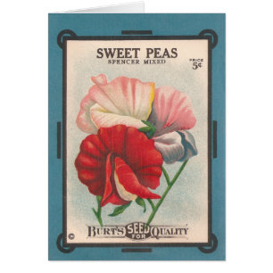 sweet peas card