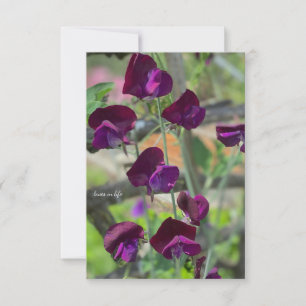 Sweet Peas Note Card