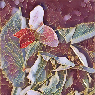 SWEET PEAS POCKET FOLDER