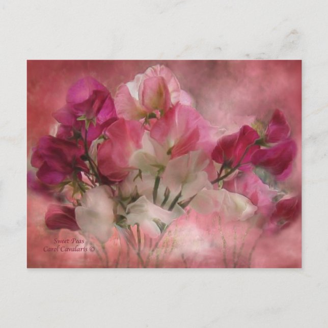 Sweet Peas Postcard (Front)