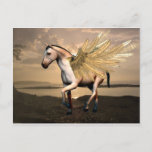 Sweet Pegasus Postcard