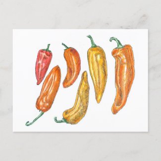 Sweet Peppers Postcard