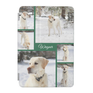 Sweet pet photo collage green iPad mini cover