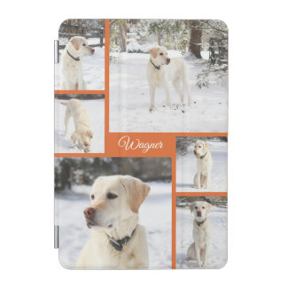 Sweet pet photo collage orange iPad mini cover