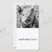 sweet piglet, black white (Front)