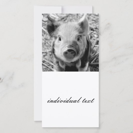 sweet piglet, black white (Front)
