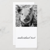 sweet piglet, black white (Front/Back)