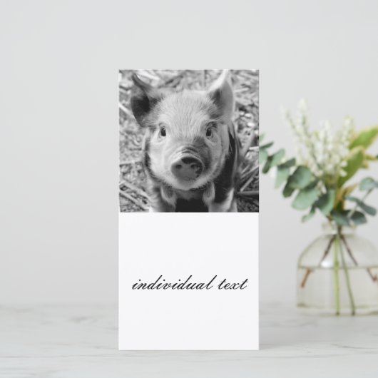 sweet piglet, black white (Standing Front)