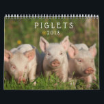 Sweet Piglets 2018 - Baby Pigs Wall Calendar<br><div class="desc">These adorable piglets will keep your heart warm even when the nights are cool.  Piglet photographs copyright Steven Holt and Brenda Moseley.</div>