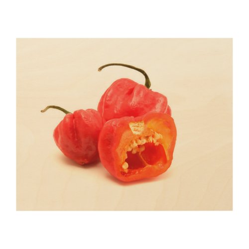 Sweet pimento peppers wood wall art