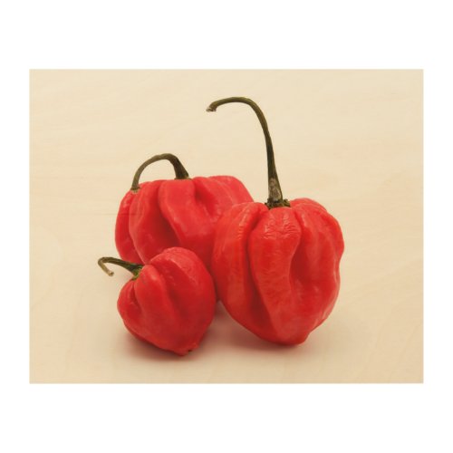 Sweet pimento peppers wood wall art