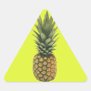 Sweet Pineapple Triangle Sticker