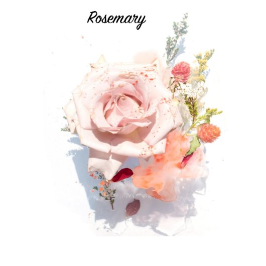 Sweet Pink 4" X 6" Password And Web Address Book (Front)