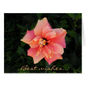 Sweet Pink Hibiscus Flower Custom Text (Front Horizontal)