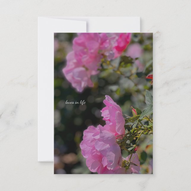 Sweet Pink Roses  Note Card (Front)