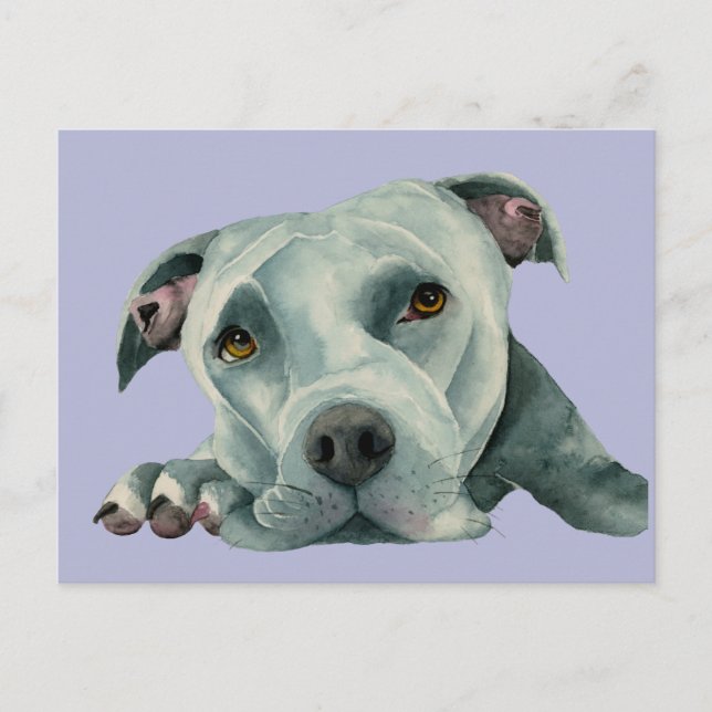 Sweet Pit Bull Dog Watercolor Painting Postcard (Front)