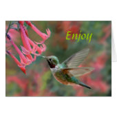 Sweet Pleasures (Front Horizontal)