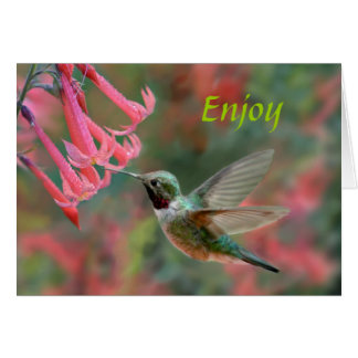 Sweet Pleasures Cards