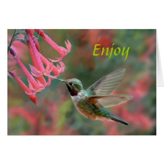 Sweet Pleasures Cards (Front Horizontal)