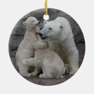 Sweet Polar bear cubs Ceramic Ornament